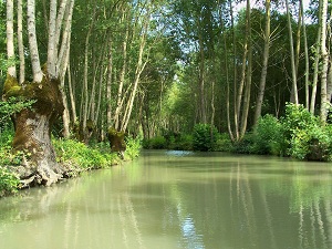 Marais Poitevin